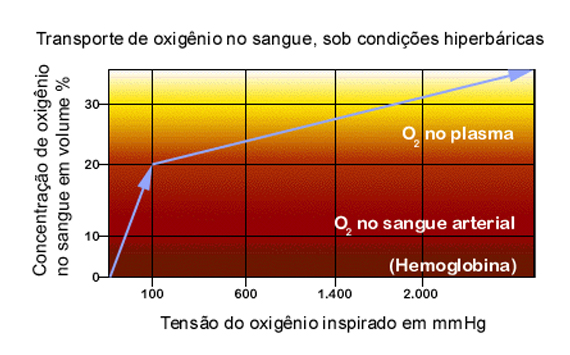 ohb-rio.medicina,medicina hiperbárica,hiperbárica,oxigênioterapia,madicina ocupacional,doenças descompressívas,embilia,dr. Tomaz Brito,baurotraumas,edema pulmonar,terapia,camara,esquemia,queimadura,aso,infecção,infecções