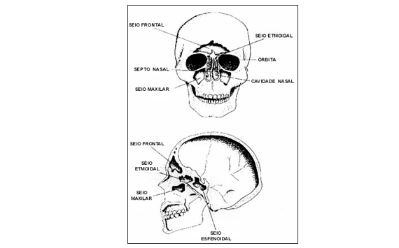 ohb-rio.medicina,medicina hiperbárica,hiperbárica,oxigênioterapia,madicina ocupacional,doenças descompressívas,embilia,dr. Tomaz Brito,baurotraumas,edema pulmonar,terapia,camara,esquemia,queimadura,aso,infecção,infecções